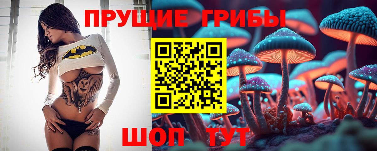 Казань  Галлюциногенные грибы ЛСД  дарнет шоп  Псилоцибиновые грибы MAGIC MUSHROOMS  Вход с VPN 