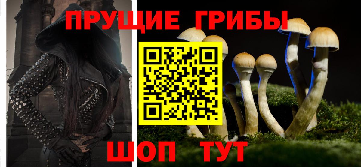 Псилоцибиновые грибы прущие грибы Казань